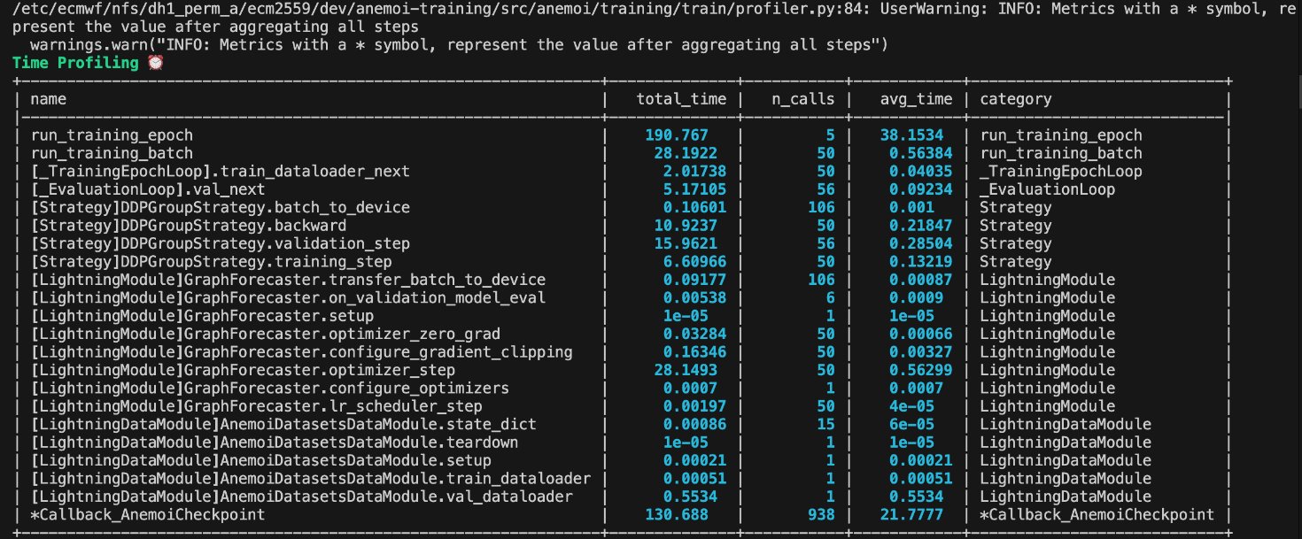 AnemoiProfiler Time Report